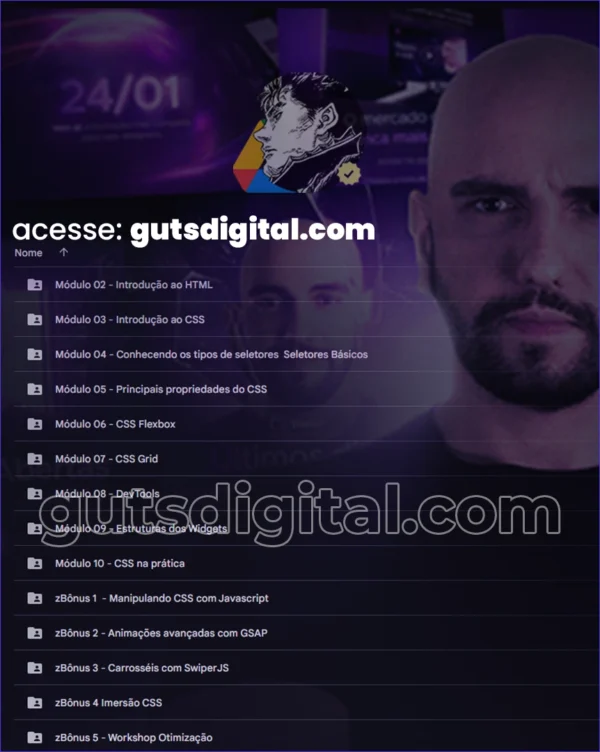 CSS Para Elementor - Othon Ciparoni - Imagem 2